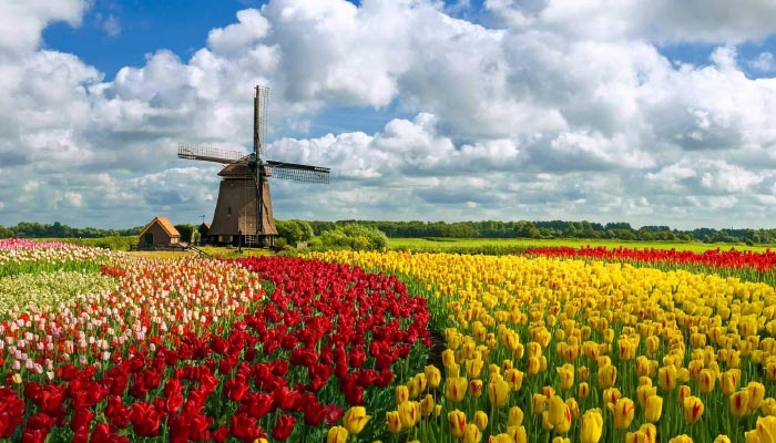 Holanda Pontos Turísticos, o que fazer e quando Ir
