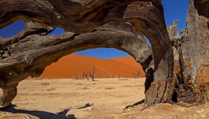 Dead-Vlei