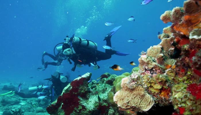 Mergulho-em-cozumel