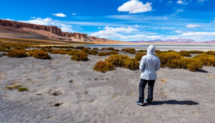 Salar-de-Tara