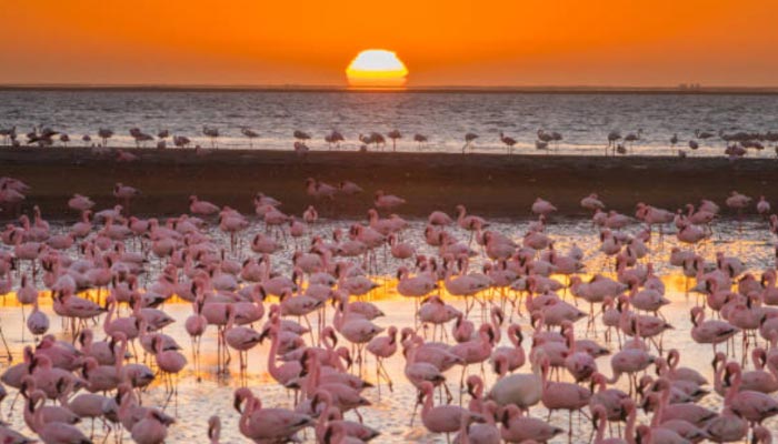 namibia