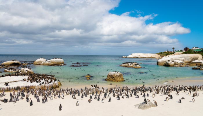 Boulders-Beach