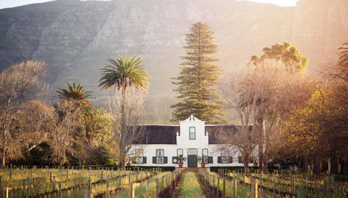 Vinícola-Groot-Constantia