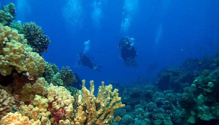 Mergulho-em-Molokini-–-Maui