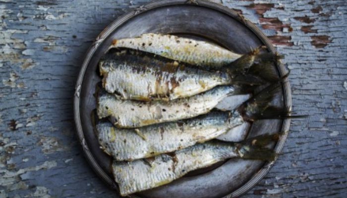 Comida-tipica-de-navegantes