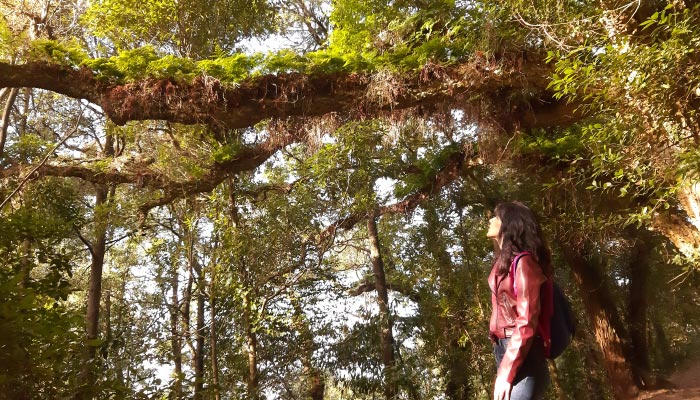 Parque-das-merendas